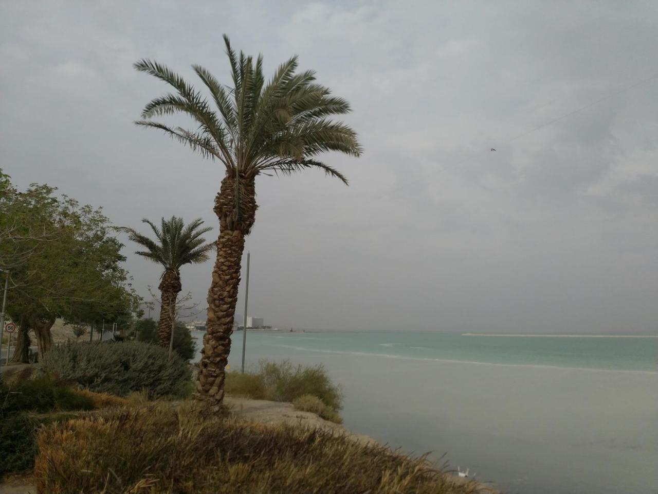 הוילה נווה זוהר Carmit'S Dead Sea Place מראה חיצוני תמונה