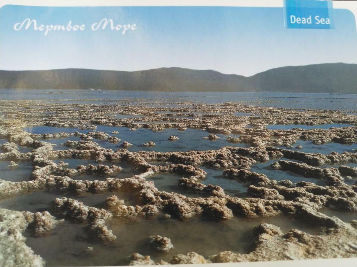 הוילה נווה זוהר Carmit'S Dead Sea Place מראה חיצוני תמונה