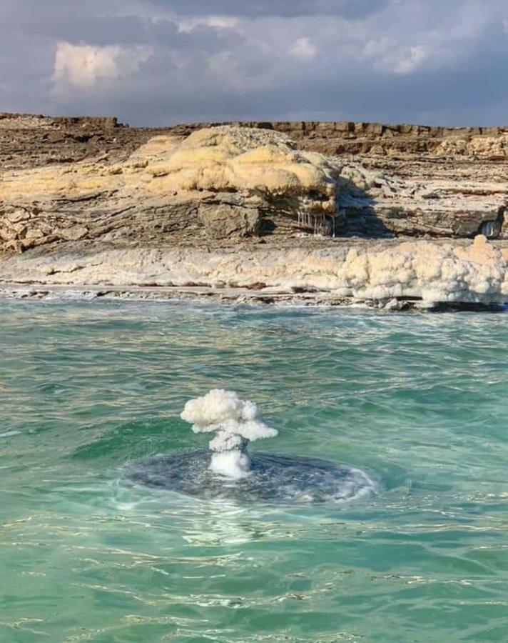 הוילה נווה זוהר Carmit'S Dead Sea Place מראה חיצוני תמונה